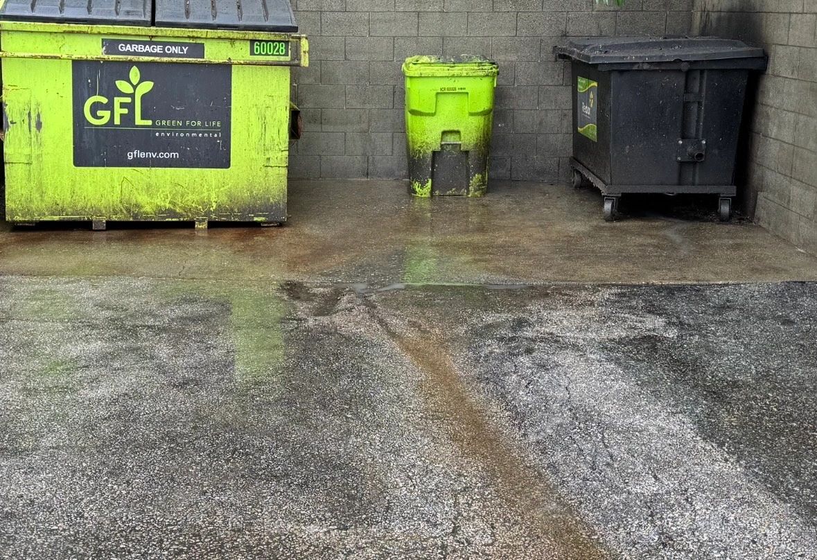 The same enclosure after washing, the floor stripped back to bare concrete and the bins rinsed down.