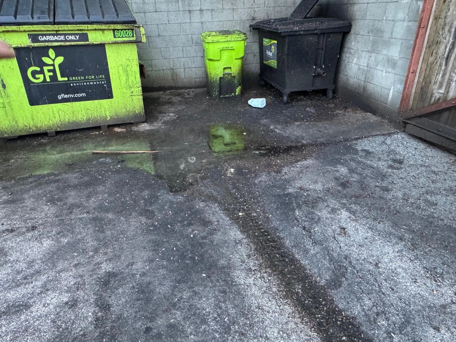 A dumpster enclosure with three bins, the floor black with grease and algae growth.